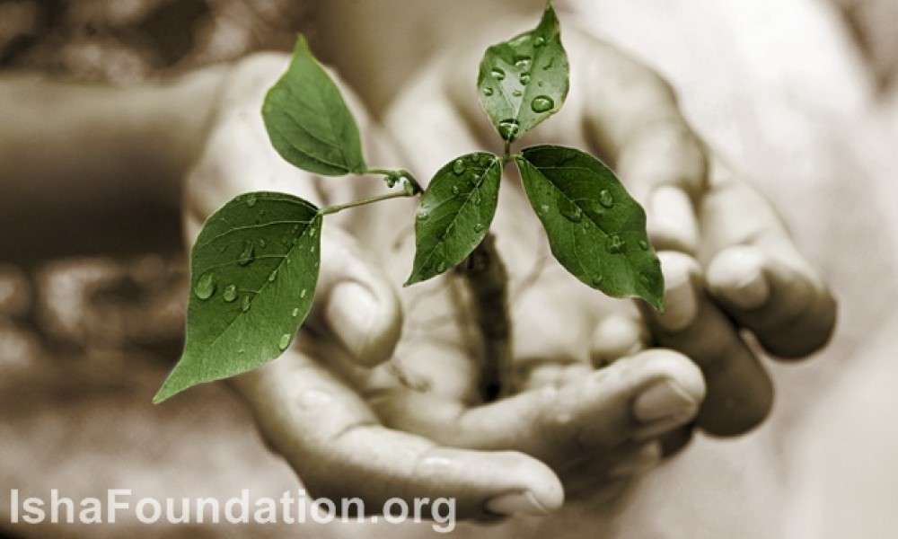 Standing up for Life on this Planet