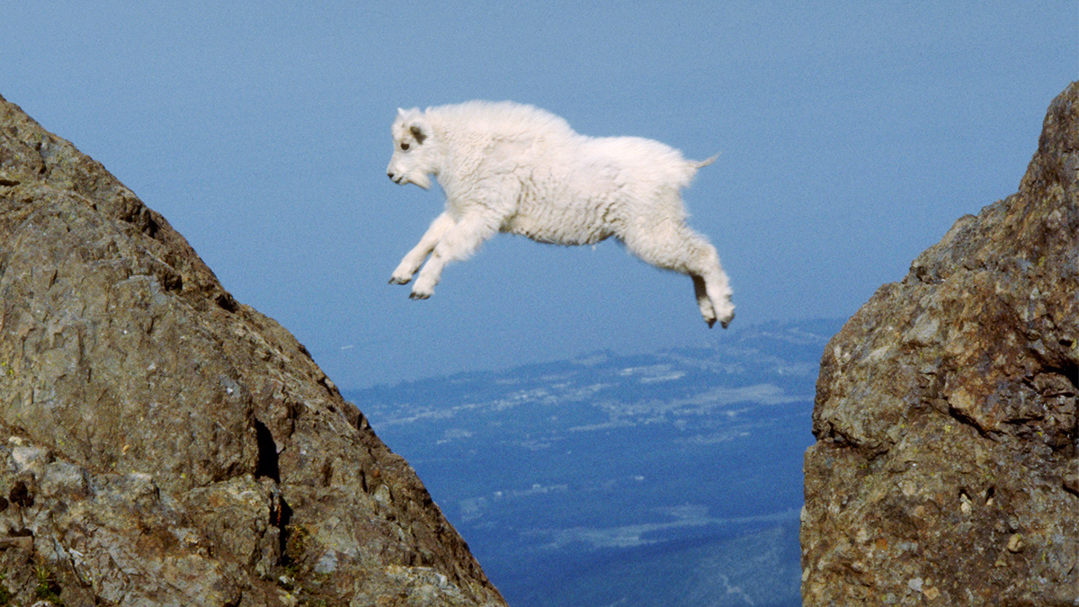 Research: When Overconfidence Is an Asset, and When It’s a Liability