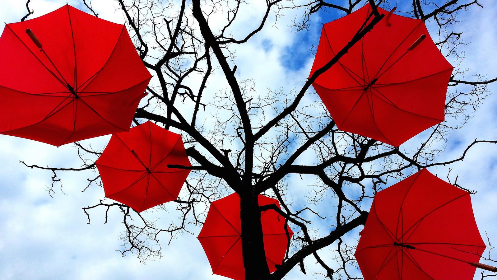 Three steps to reinventing your career—even if you’re not sure what you want to do next