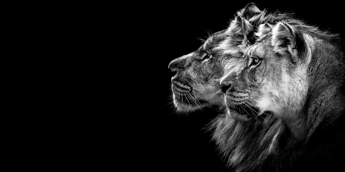 How Dual-Career Couples Make It Work